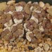 CON111.01 Conophytum pellucidum var. neohallii #1 SB1187